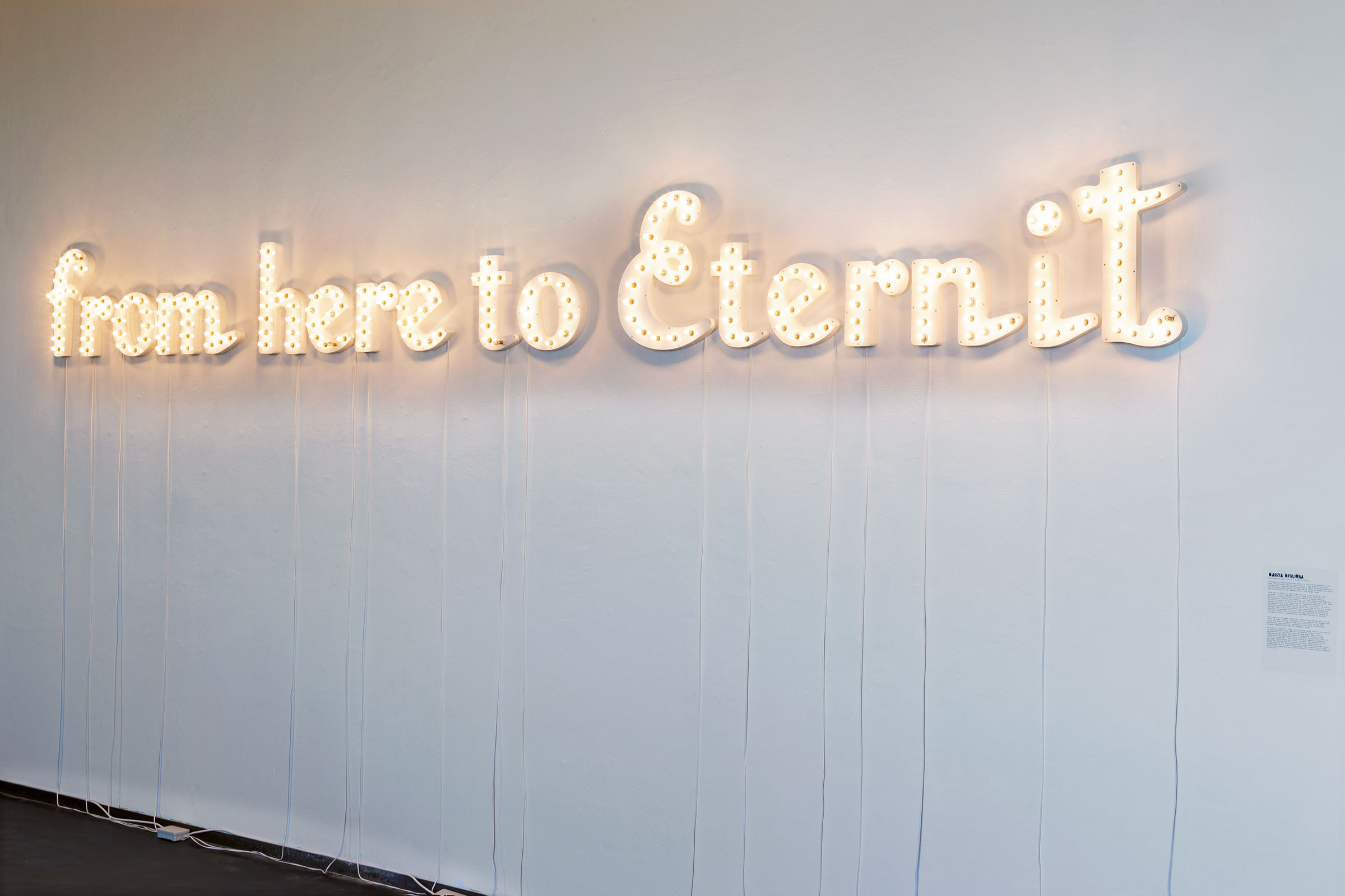 Marzia Migliora, From here to Eternit, 2009